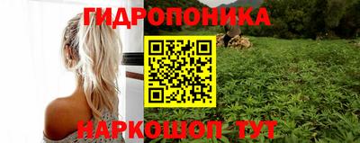 2c-b Боровичи