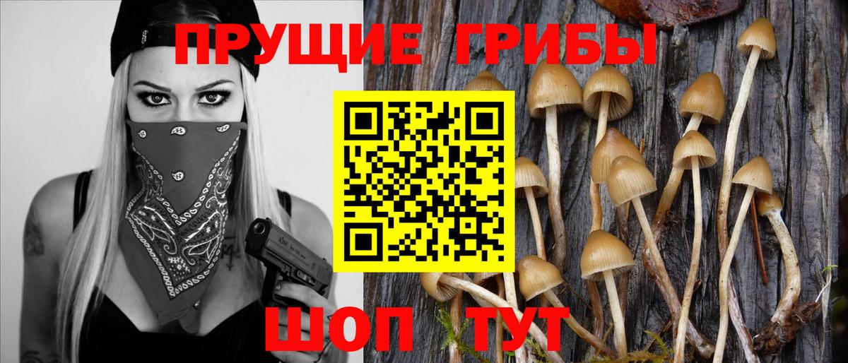 Галлюциногенные грибы мухоморы Гудермес