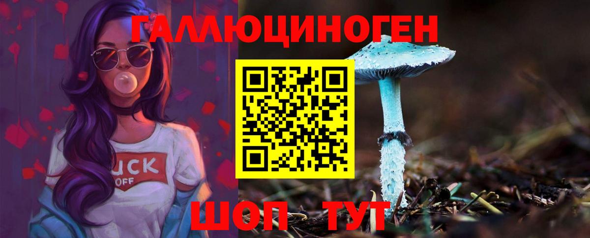 Гудермес  купить наркотики сайты  Вход с VPN  Псилоцибиновые грибы Magic Shrooms 
